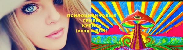прущий лед Балахна