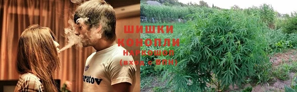 прущие крисы Баксан