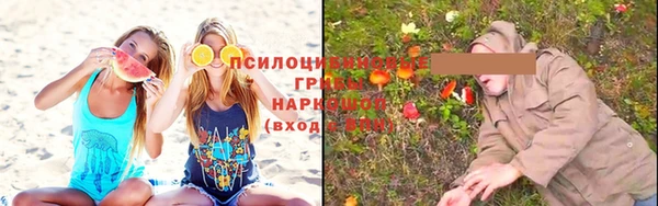 прущие крисы Баксан