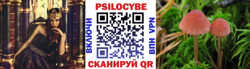 Псилоцибиновые грибы прущие грибы  где купить наркоту  МЕГА зеркало  Кумертау 